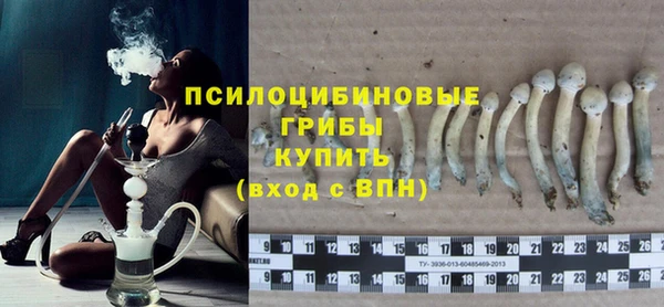 дмт Нягань