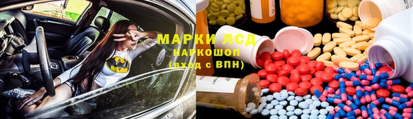 сатива Осташков